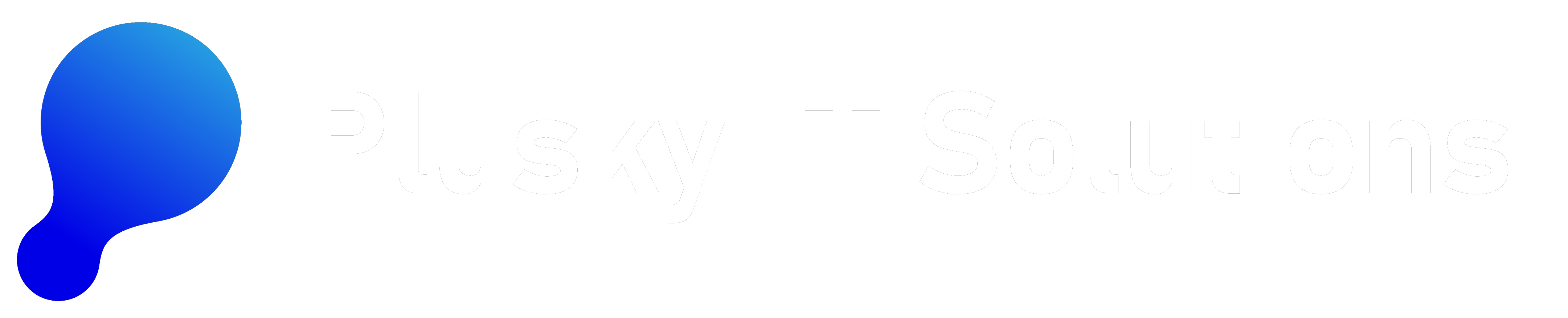 Plusky IT Solutions